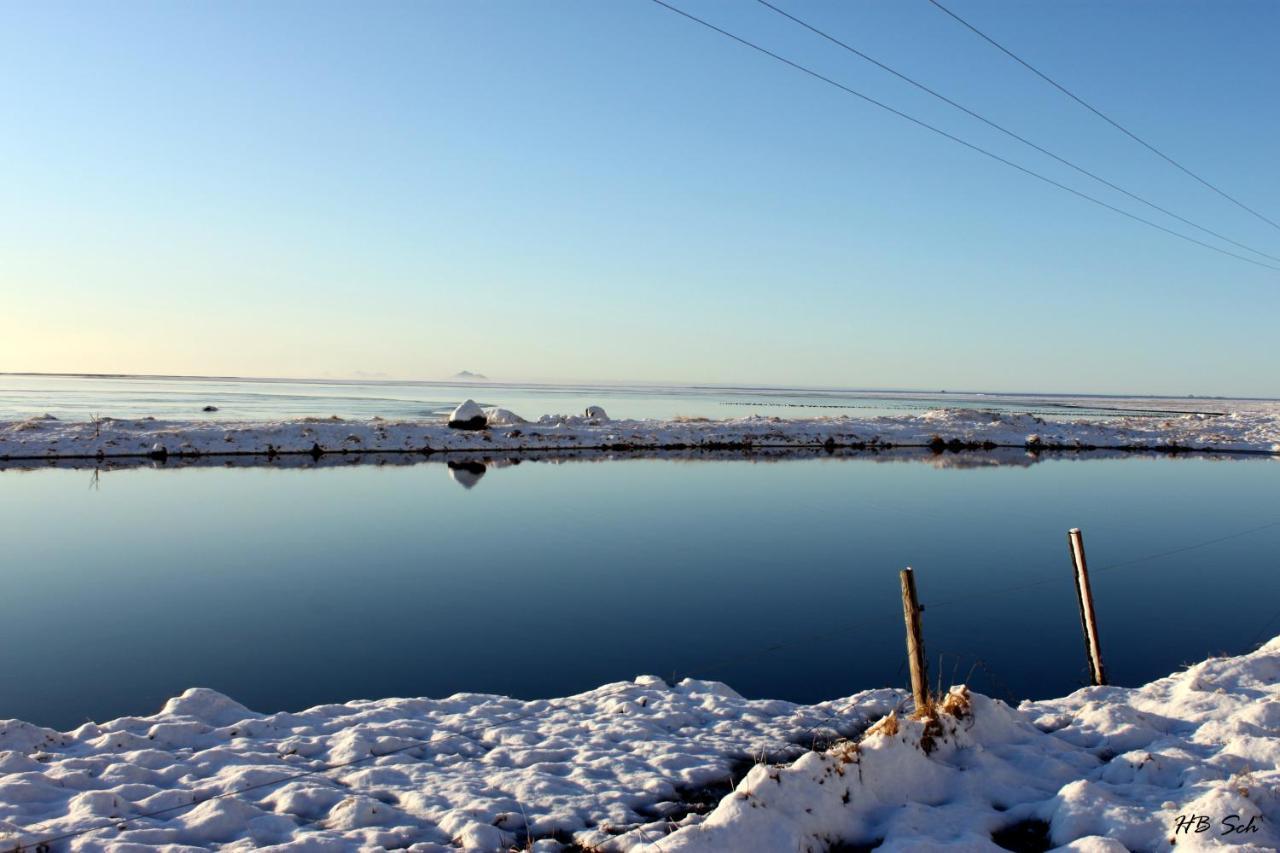 South Iceland Guesthouse Steinar Εξωτερικό φωτογραφία